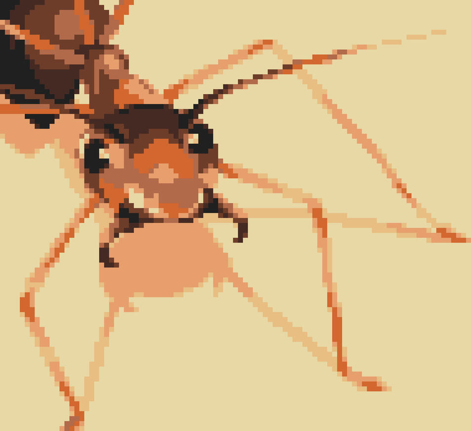 Ant
