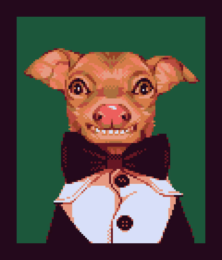 Chiweenie Portrait