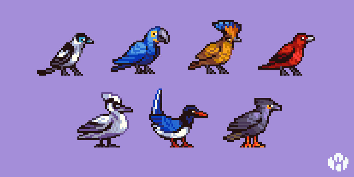 Birb Fest Week 1
